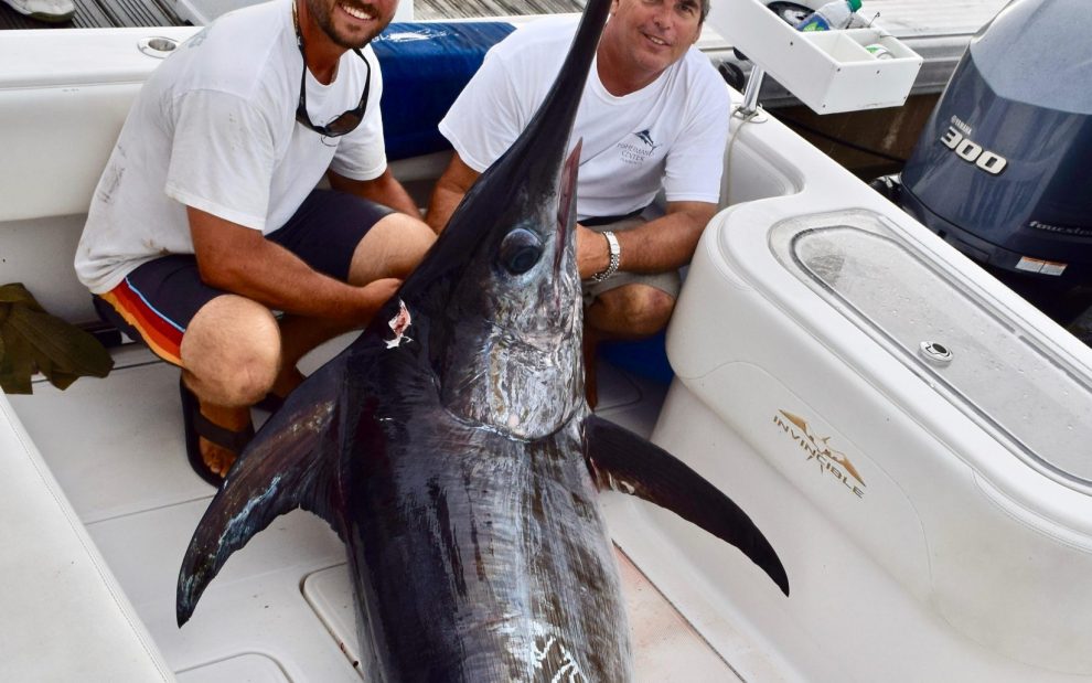 Daytime Swordfishing Reel