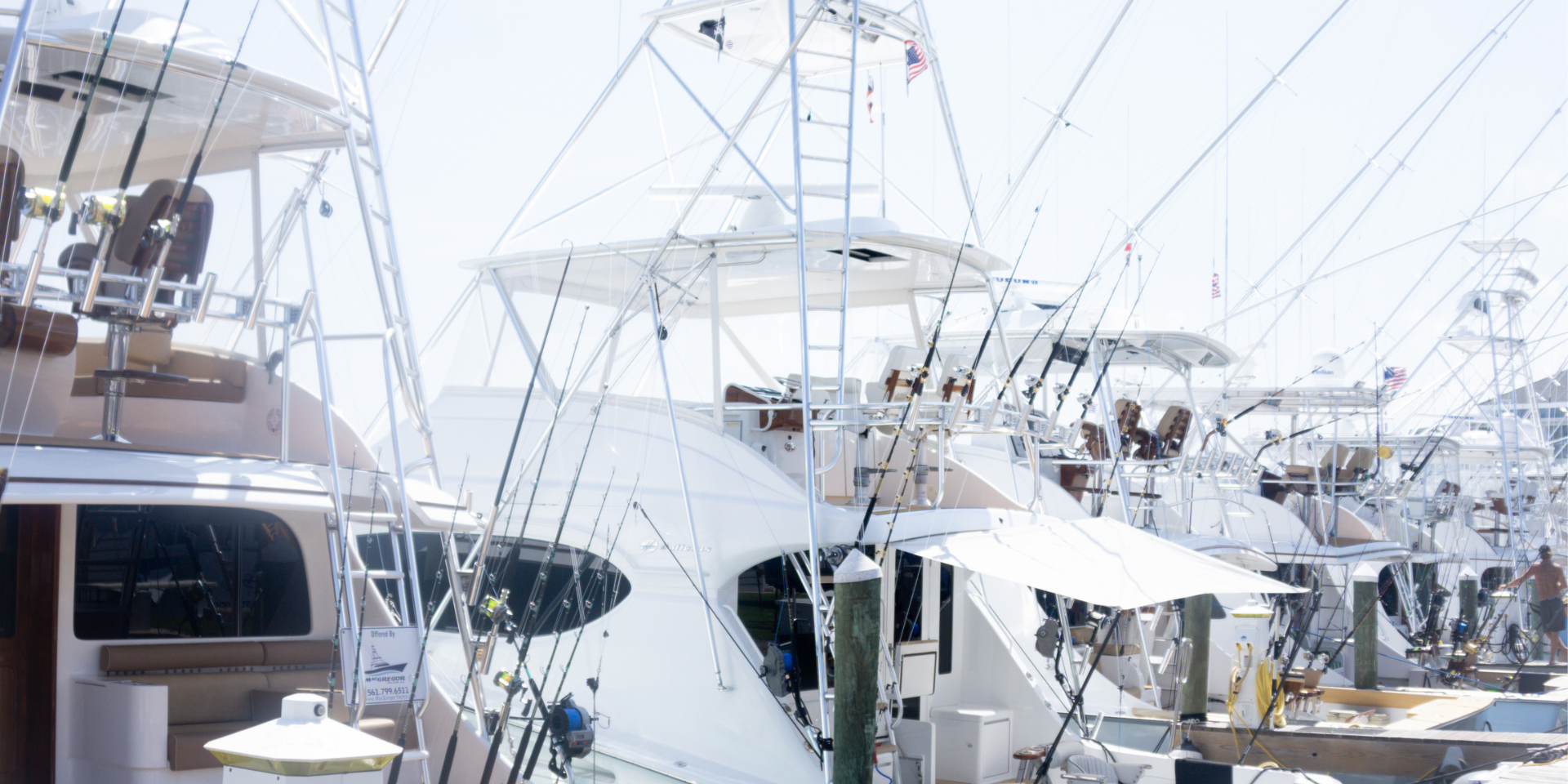 Pirate's Cove Billfish Tournament