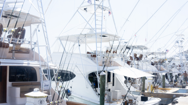 Pirate's Cove Billfish Tournament
