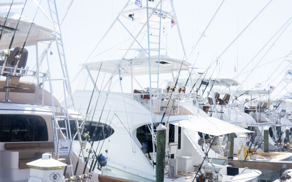 Pirate's Cove Billfish Tournament